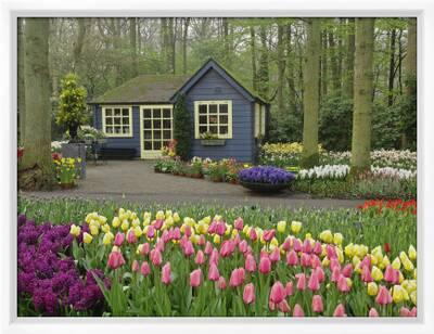 Small Cottage Flower Shop Keukenhof Gardens Lisse Netherlands