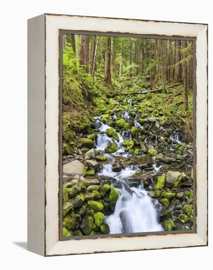 Small Creek with Waterfall, Olympic National Park, Washington, USA-Tom Norring-Framed Premier Image Canvas