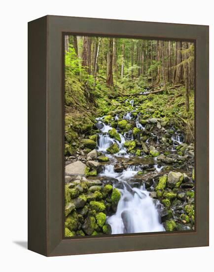 Small Creek with Waterfall, Olympic National Park, Washington, USA-Tom Norring-Framed Premier Image Canvas