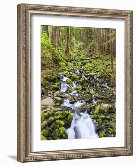 Small Creek with Waterfall, Olympic National Park, Washington, USA-Tom Norring-Framed Photographic Print