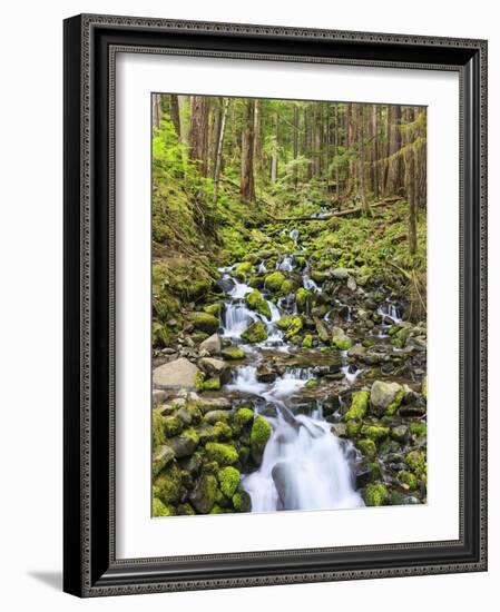 Small Creek with Waterfall, Olympic National Park, Washington, USA-Tom Norring-Framed Photographic Print