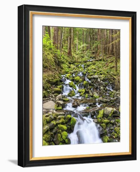 Small Creek with Waterfall, Olympic National Park, Washington, USA-Tom Norring-Framed Photographic Print