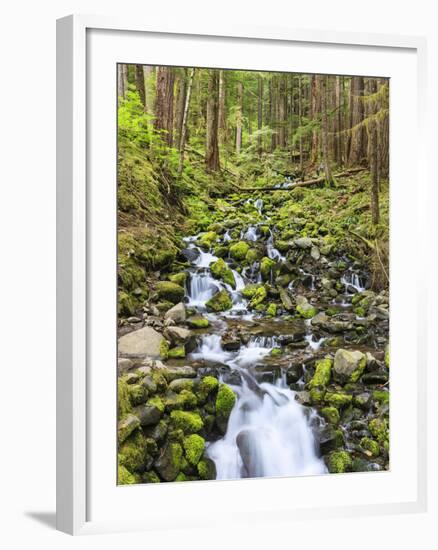 Small Creek with Waterfall, Olympic National Park, Washington, USA-Tom Norring-Framed Photographic Print