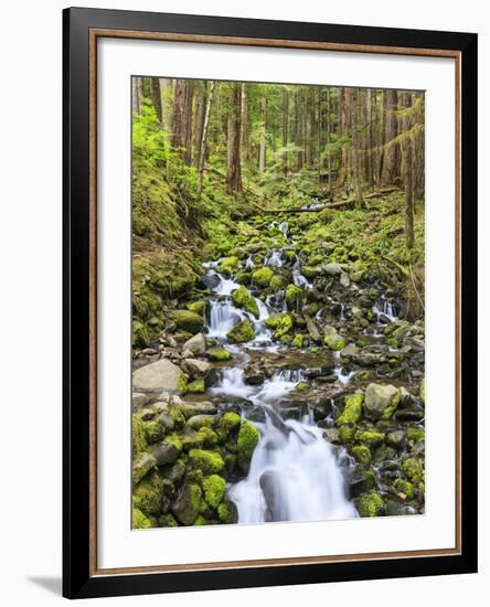 Small Creek with Waterfall, Olympic National Park, Washington, USA-Tom Norring-Framed Photographic Print