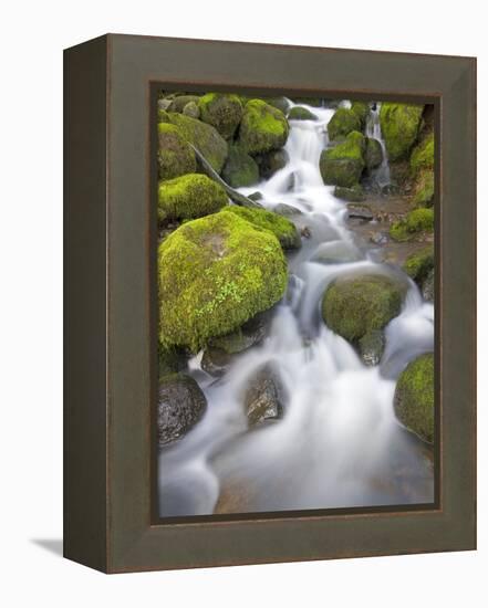 Small Creek-Craig Tuttle-Framed Premier Image Canvas