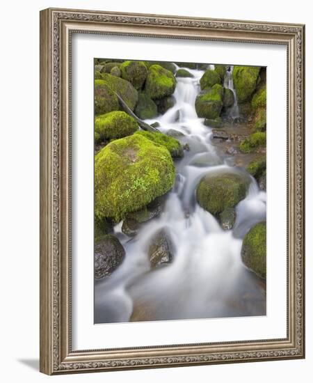 Small Creek-Craig Tuttle-Framed Photographic Print