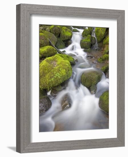 Small Creek-Craig Tuttle-Framed Photographic Print