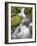 Small Creek-Craig Tuttle-Framed Photographic Print