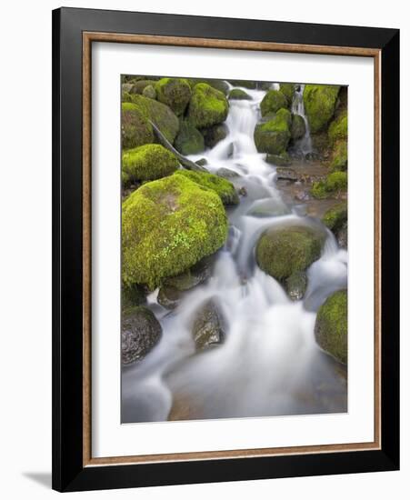 Small Creek-Craig Tuttle-Framed Photographic Print