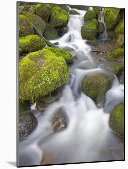 Small Creek-Craig Tuttle-Mounted Photographic Print
