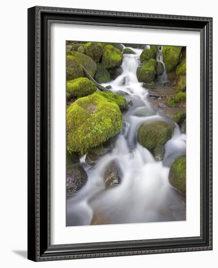 Small Creek-Craig Tuttle-Framed Photographic Print