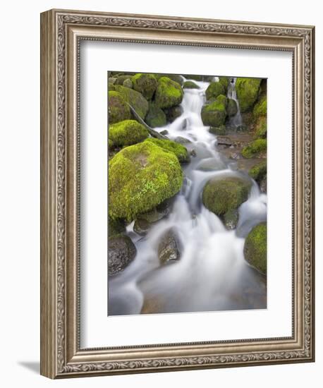 Small Creek-Craig Tuttle-Framed Photographic Print