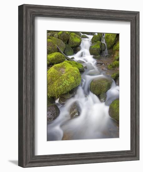 Small Creek-Craig Tuttle-Framed Photographic Print