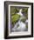 Small Creek-Craig Tuttle-Framed Photographic Print