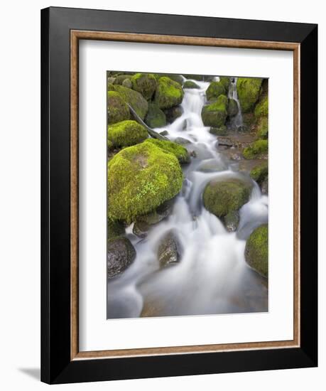 Small Creek-Craig Tuttle-Framed Photographic Print