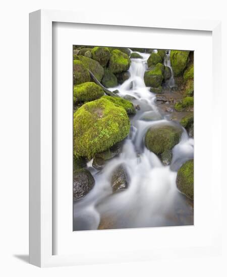 Small Creek-Craig Tuttle-Framed Photographic Print