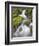 Small Creek-Craig Tuttle-Framed Photographic Print