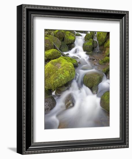 Small Creek-Craig Tuttle-Framed Photographic Print