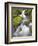 Small Creek-Craig Tuttle-Framed Photographic Print