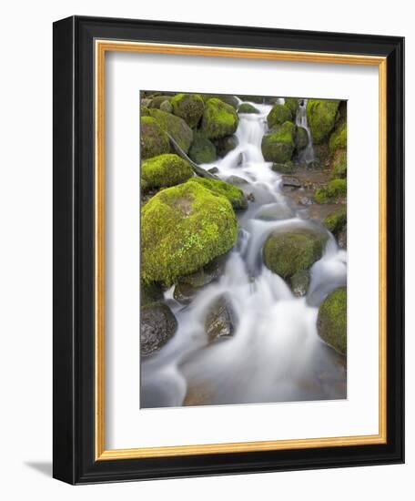 Small Creek-Craig Tuttle-Framed Photographic Print