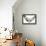 Small Dog Lying in the Hammock-Beate Margraf-Framed Premier Image Canvas displayed on a wall