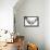 Small Dog Lying in the Hammock-Beate Margraf-Framed Premier Image Canvas displayed on a wall