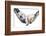 Small Dog Lying in the Hammock-Beate Margraf-Framed Photographic Print