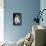 Small Dog Sitting-Tim Kahane-Photographic Print displayed on a wall