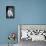 Small Dog Sitting-Tim Kahane-Photographic Print displayed on a wall