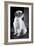 Small Dog Sitting-Tim Kahane-Framed Photographic Print