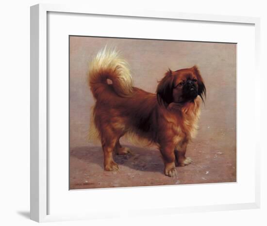 Small Dog-Charles Spencelayh-Framed Premium Giclee Print