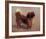 Small Dog-Charles Spencelayh-Framed Premium Giclee Print