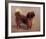 Small Dog-Charles Spencelayh-Framed Premium Giclee Print