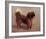 Small Dog-Charles Spencelayh-Framed Premium Giclee Print