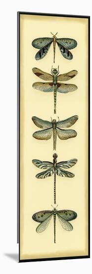 Small Dragonfly Collector I-Chariklia Zarris-Mounted Art Print