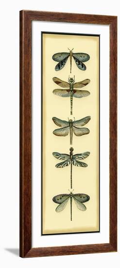 Small Dragonfly Collector I-Chariklia Zarris-Framed Art Print