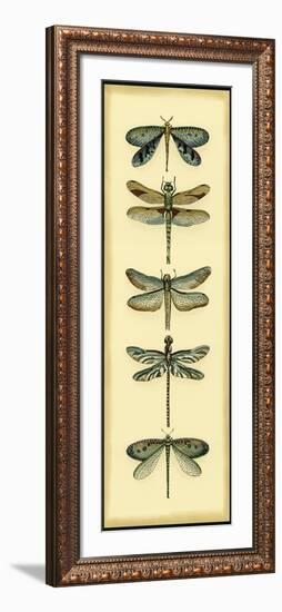 Small Dragonfly Collector I-Chariklia Zarris-Framed Art Print