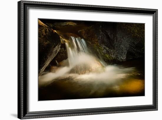 Small Fall-Ursula Abresch-Framed Photographic Print