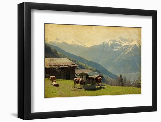 Small Farm in Swiss Alps.  Bodmen, Valais, Switzerland. Added Paper Texture-A_nella-Framed Photographic Print