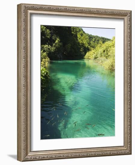 Small Fish in Turquoise Lake, Plitvice Lakes National Park, Unesco World Heritage Site, Croatia-Christian Kober-Framed Photographic Print