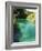 Small Fish in Turquoise Lake, Plitvice Lakes National Park, Unesco World Heritage Site, Croatia-Christian Kober-Framed Photographic Print