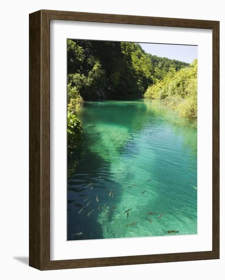 Small Fish in Turquoise Lake, Plitvice Lakes National Park, Unesco World Heritage Site, Croatia-Christian Kober-Framed Photographic Print