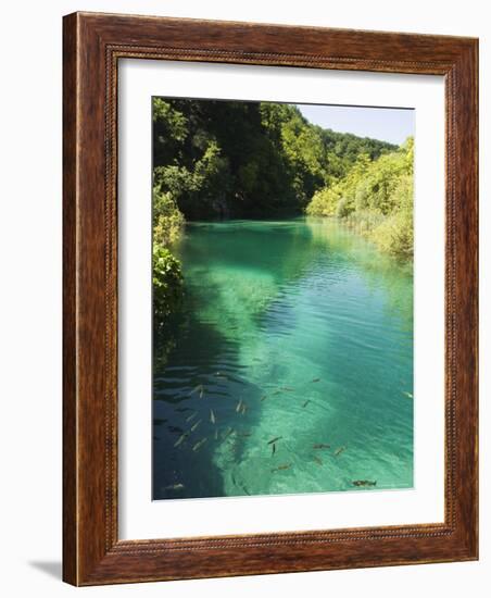 Small Fish in Turquoise Lake, Plitvice Lakes National Park, Unesco World Heritage Site, Croatia-Christian Kober-Framed Photographic Print