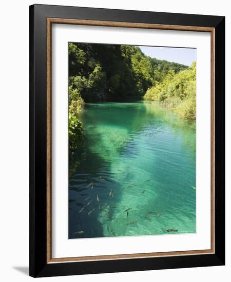 Small Fish in Turquoise Lake, Plitvice Lakes National Park, Unesco World Heritage Site, Croatia-Christian Kober-Framed Photographic Print