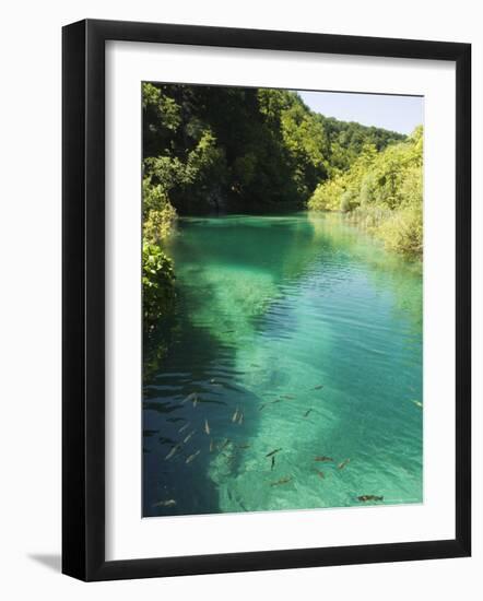 Small Fish in Turquoise Lake, Plitvice Lakes National Park, Unesco World Heritage Site, Croatia-Christian Kober-Framed Photographic Print