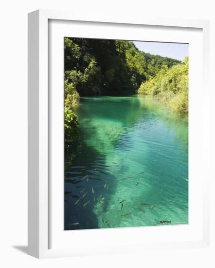 Small Fish in Turquoise Lake, Plitvice Lakes National Park, Unesco World Heritage Site, Croatia-Christian Kober-Framed Photographic Print