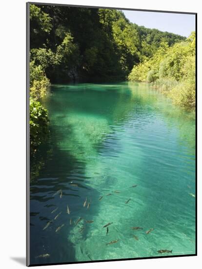 Small Fish in Turquoise Lake, Plitvice Lakes National Park, Unesco World Heritage Site, Croatia-Christian Kober-Mounted Photographic Print