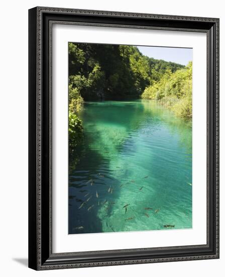 Small Fish in Turquoise Lake, Plitvice Lakes National Park, Unesco World Heritage Site, Croatia-Christian Kober-Framed Photographic Print