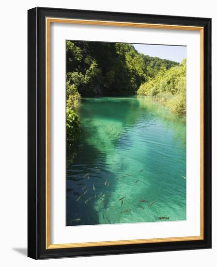 Small Fish in Turquoise Lake, Plitvice Lakes National Park, Unesco World Heritage Site, Croatia-Christian Kober-Framed Photographic Print