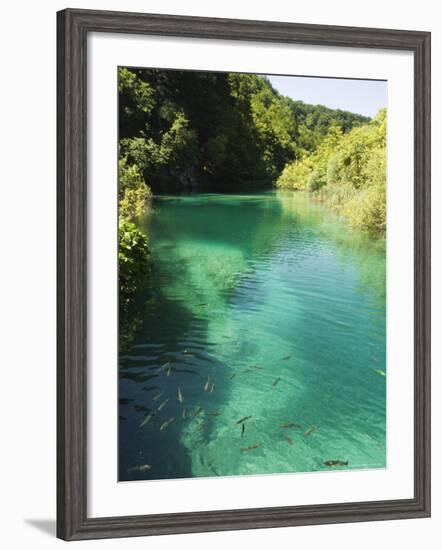 Small Fish in Turquoise Lake, Plitvice Lakes National Park, Unesco World Heritage Site, Croatia-Christian Kober-Framed Photographic Print